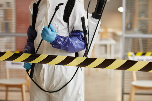 Professional Sewage Cleanup technician working in San Miguel, CA